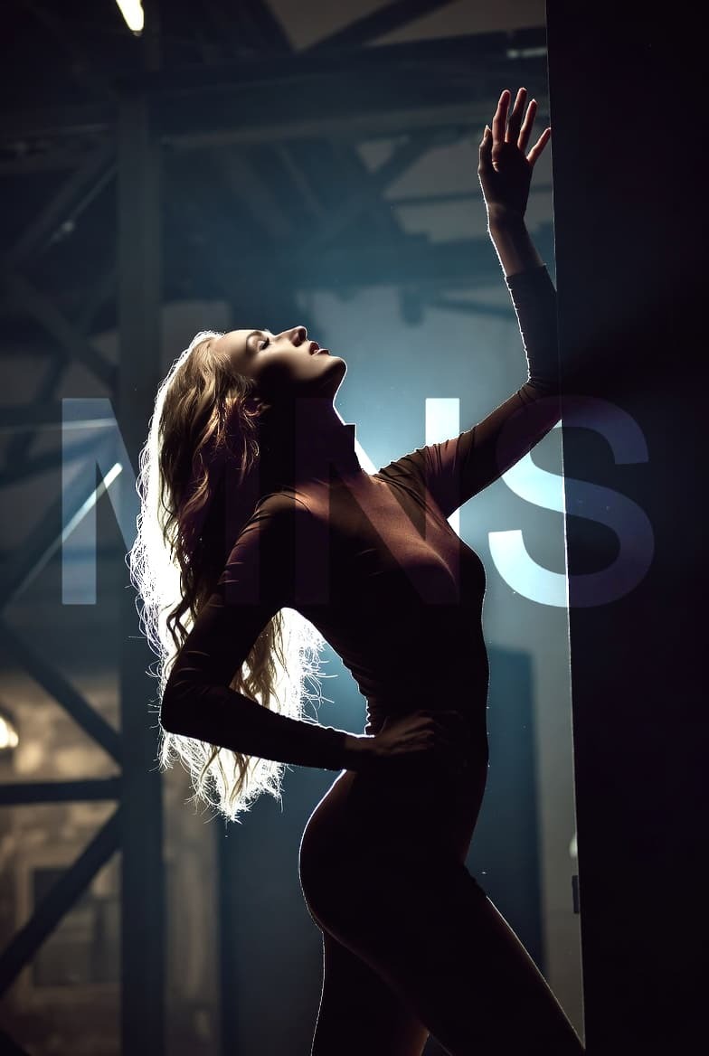 Эскорт Москва — персональное сопровождение MNS, вечерний центр